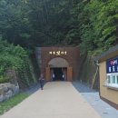 (주)대기금속 | [솔직후기] 2026 월영야행 와룡빛터널 다녀왔어요 - 걷는 순간이 포토존, 가족·연인 모두 만족!