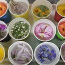 은하수어린이집 이미지