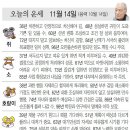 오늘의 운세/11월 14일 이미지