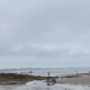 몽산포엘로망 | 태안 몽산포 해수욕장 맛조개 해루질 엘로망펜션