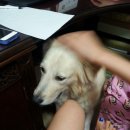 이뿐이 민박 | < 주말 1박2일간 파리여행계획 드디어 끝내기 !!! >