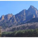 신흥사 이미지