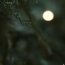 메종오브 이미지