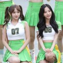 성소 카카오 검색결과