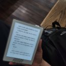 2026 서울 국제 도서전 '인간선언' 다녀온 후기!📖