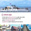 세종관광여행사 이미지