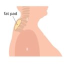 더블유필라테스 이미지