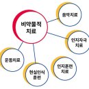 녹색 잎채소 1주일 6회 이상 &#39;뇌건강에 효과&#39; 인지기능장애 ＜11＞ 이미지