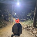 신기리신발 | (내돈내산) 콜로닐 어그 방수 스프레이 뿌려봤어요 >_<