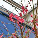 (기획투어)역사문화순천 이미지