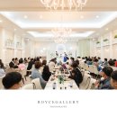 플라워돌스 이미지