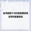 수 동물병원 이미지