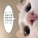 여우꼬리 떡볶이 | 💁‍♀️[어쩌다 카페 매니저의 우당탕 일상 blog_네번째 이야기]