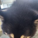 소호한의원 이미지