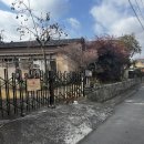 화심장어 | [후쿠오카여행] 또쿄에 이어 또카오카 여행기 - 유후인편