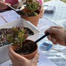 영천 청제 이미지