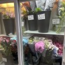 안단테꽃예술홍대학원
