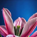 지행이네 이미지