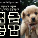 우드힐펜션 이미지