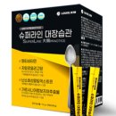 루이스킴