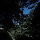 푸른숲펜션 - 광양시 회두1길 23 | 푸른숲펜션