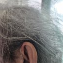 선명경로당 이미지