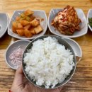 터미날돼지국밥 | 부산사상터미널 맛집 합천일류돼지국밥 내돈내산 솔직후기.