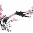 먹물 Daum카페