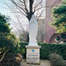 명동역사문화투어 Daum카페