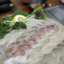 제기40 | 제기역 맛집 푸짐한 스키다시와 활어회 심도횟집