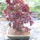 장부농장 이미지