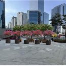 역후공원 이미지