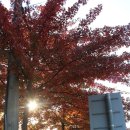 명지로116번길 이미지