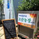 사파동282 이미지