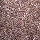 들깨나라 이미지