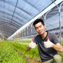 김선영농장 이미지