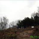 기건선생묘 및 신도비 이미지