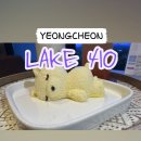 4공단로1R-31 | [ 영천 / 망정동 ] 아름다운 우로지생태공원 VIEW맛집 &#39;LAKE410&#39; 💜리얼후기 / 이색 영천 데이트 필수코스 💜
