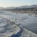 엔젤파머스 이미지