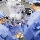 아시아방사선 이미지