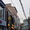 술속의밤공주