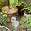 카페 홈타운 이미지