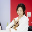 우리까운 이미지