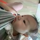 밝은유안과의원 | 베이비시터구하기/원더윅스 계산기/한달차 아기발달,수유량,터미타임/아이랑 탑동시민농장 댑싸리밭...