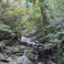 가곡면사무소 | 등산 왕초보의 단양 소백산 천동 계곡 코스 ~ 비로봉 (후기 나만 힘드냐..)