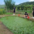 새미래농장 이미지