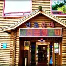 수원-0767 Daum카페