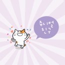 쥬니멀 네이버블로그