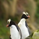 소품풍경 이미지