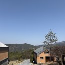 옥돌별장 | 소백산 자연휴양림 숲나들이 예약 방법(+나만 알고 싶은 인기 자연휴양림 BEST 5)